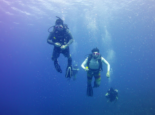 Diving center Alexandria