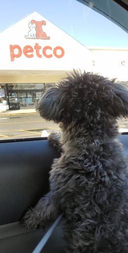 Pet Supply Store «Petco Animal Supplies», reviews and photos, 1694 Boston Rd, Springfield, MA 01129, USA