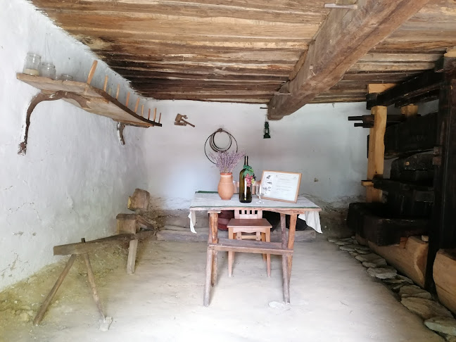 Értékelések erről a helyről: Cáki Pincesor - Szabadtéri Néprajzi Múzeum, Cák - Múzeum