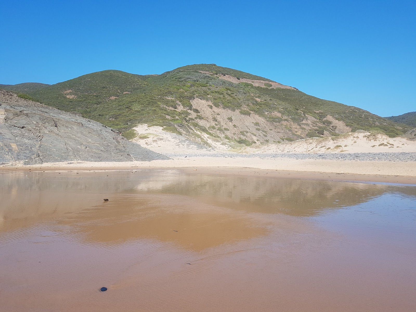 Foto van Barriga Beach wilde omgeving