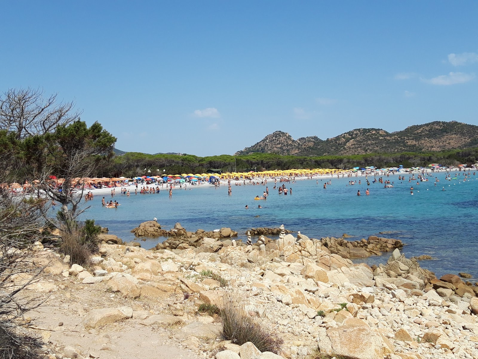 Cala Ginepro Plajı'in fotoğrafı turkuaz saf su yüzey ile