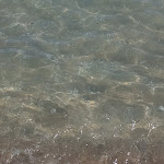 Photo n°1 de l'avis de Stefano.e fait le 14/09/2021 à 13:25 sur le  Il Veliero à Montesilvano