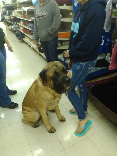 Pet Supply Store «Pet Supplies Plus», reviews and photos, 2202 S Bend Ave Suite 1, South Bend, IN 46635, USA