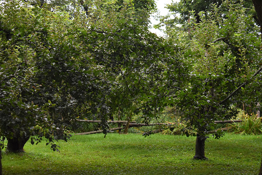 Historical Landmark «Ethan Allen Homestead Museum», reviews and photos, 1 Ethan Allen Homestead, Burlington, VT 05408, USA