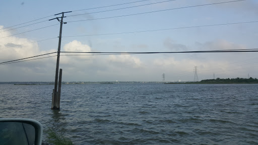 Movie Theater «AMC Gulf Pointe 30», reviews and photos, 11801 S Sam Houston Pkwy E, Houston, TX 77089, USA