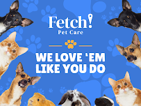 Fetch! Pet Care of Clearlake - Photo 1 - Car repair in , Galveston