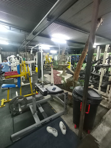 gimnasio bodybuilding gym san felipe