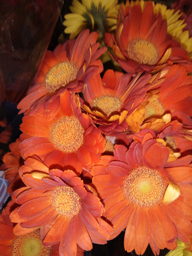 Grocery Store «Safeway», reviews and photos, 70 Cabrillo Hwy, Half Moon Bay, CA 94019, USA