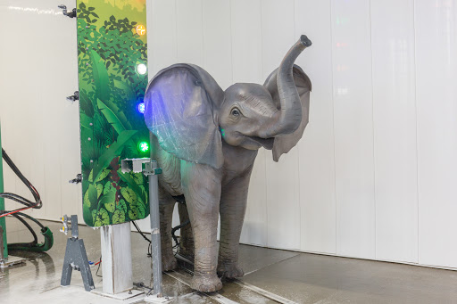 Car Wash «Rainforest Car Wash», reviews and photos, 3365 Center Rd, Brunswick, OH 44212, USA