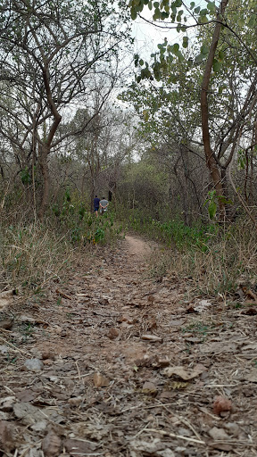 Aravalli Biodiversity Park