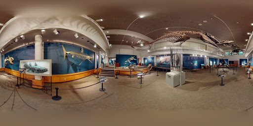 Science Museum «Museum of the Rockies», reviews and photos, 600 W Kagy Blvd, Bozeman, MT 59717, USA