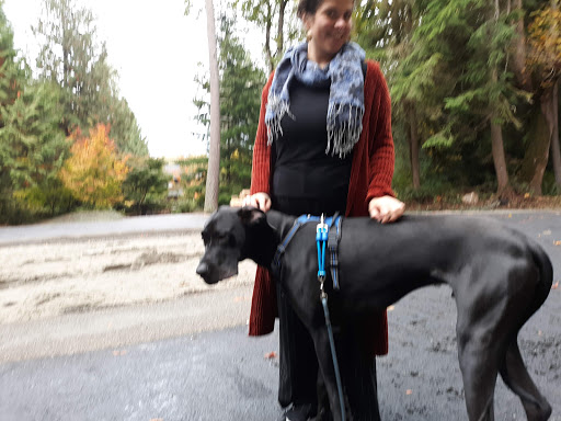 Golf Club «Meadowmeer Golf & Country Club», reviews and photos, 8530 Renny Ln NE, Bainbridge Island, WA 98110, USA