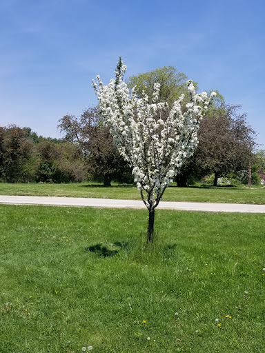 Park «Wehr Nature Center», reviews and photos, 9701 W College Ave, Franklin, WI 53132, USA
