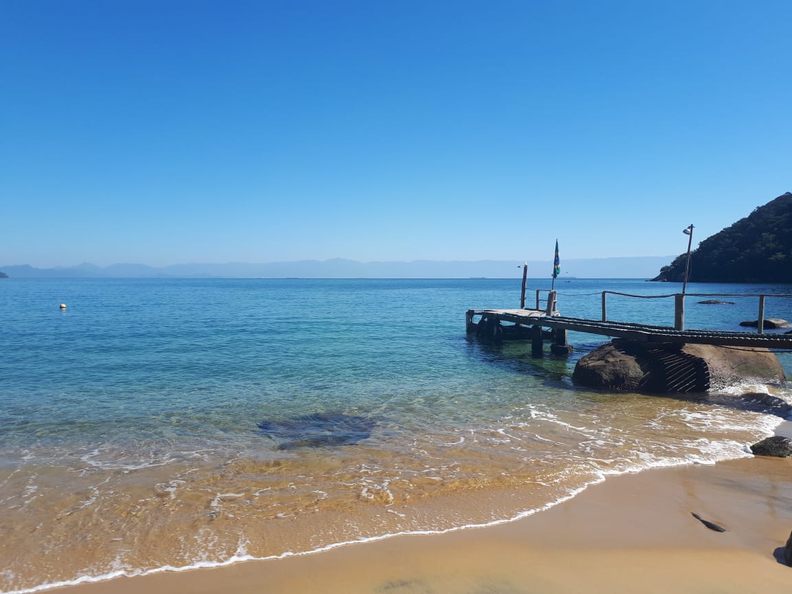 Photo of Waterfall Beach wild area