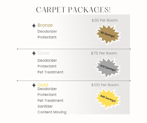 Carpet Cleaning Service «Mc Shine Cleaning Services LLC», reviews and photos, 3763 Lapeer Rd c, Port Huron, MI 48060, USA