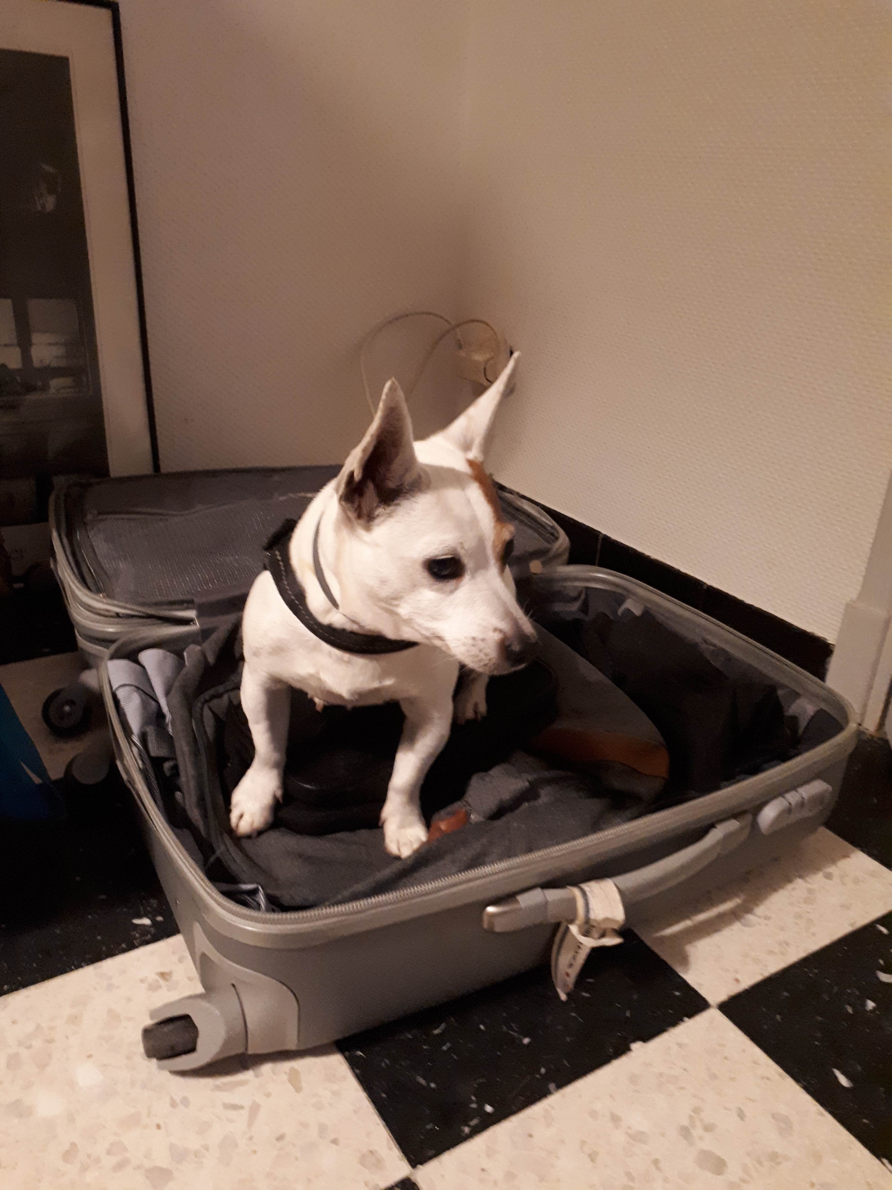 Photo n° 5 de l'avis de Laurent.a fait le 27/01/2019 à 08:01