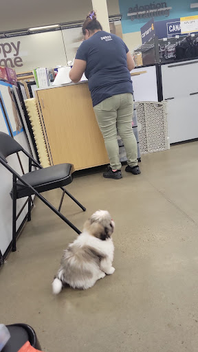 Pet Supply Store «Petco Animal Supplies», reviews and photos, 2807 Wilma Rudolph Blvd, Clarksville, TN 37040, USA