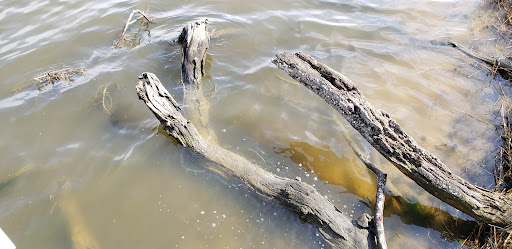Historical Landmark «George Washington Birthplace National Monument», reviews and photos, 1732 Popes Creek Rd, Colonial Beach, VA 22443, USA