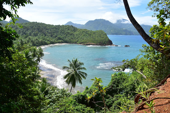 Batibou Beach by null