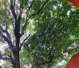 Casa de Camposampiero photo