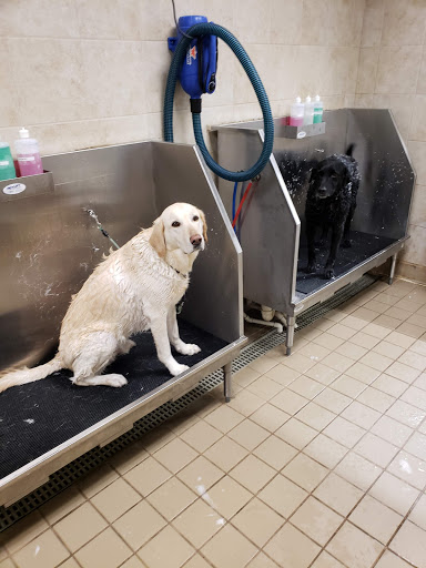 Pet Supply Store «Pet Supplies Plus», reviews and photos, 1704 Greenville Ave, Dallas, TX 75206, USA