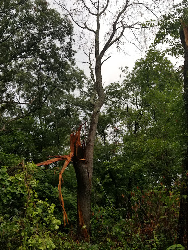 Park «Dorchester Park», reviews and photos, 2180 Dorchester Ave, Dorchester, MA 02124, USA