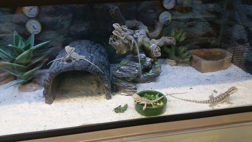 Pet Supply Store «Petco Animal Supplies», reviews and photos, 377 W Jackson St #11, Cookeville, TN 38501, USA