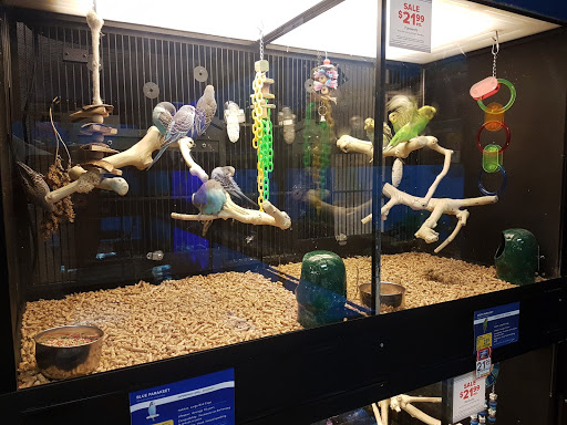 Pet Supply Store «PetSmart», reviews and photos, 6050 Peachtree Pkwy, Norcross, GA 30092, USA