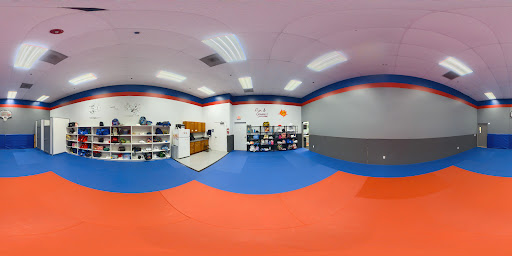 American Martial Arts Academy image