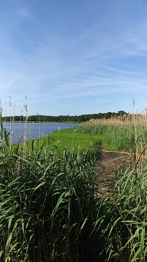 State Park «Dighton Rock State Park», reviews and photos, Bayview Ave, Berkley, MA 02779, USA