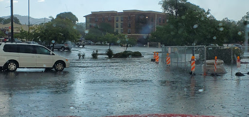Health Food Store «Sprouts Farmers Market», reviews and photos, 174 E Sheldon St, Prescott, AZ 86301, USA