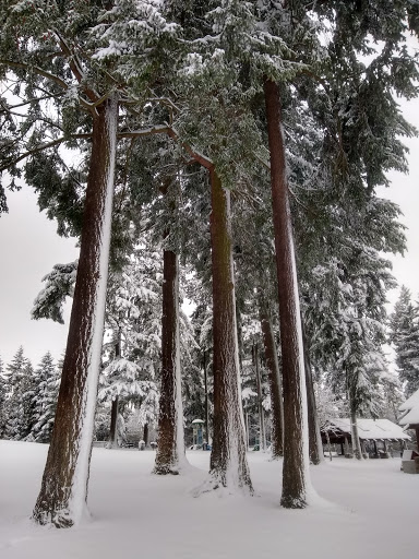 Park «Angle Lake Park», reviews and photos, 19408 International Blvd, SeaTac, WA 98188, USA