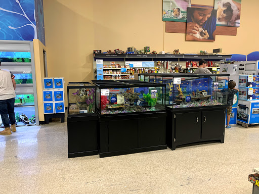 Aquarium shop Midland