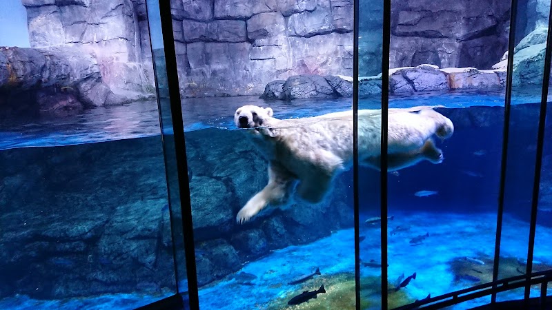 横浜 八景島シーパラダイス 神奈川県横浜市金沢区八景島 水族館 グルコミ