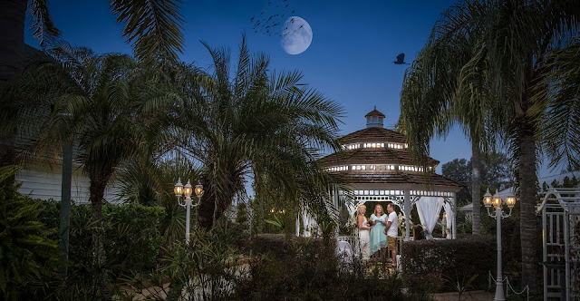 The Little Wedding Chapel of Love