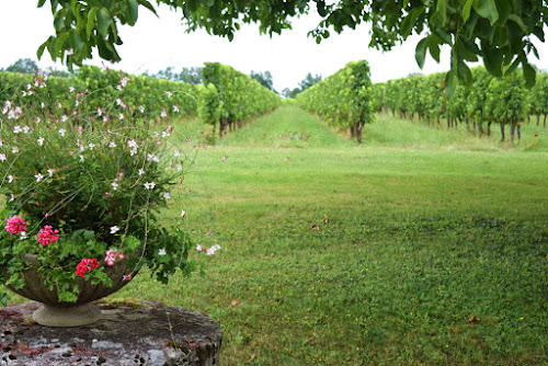 Magasin de vins et spiritueux DOMAINE DE GRIMARDY Vignoble Vignerons Indépendants Montazeau