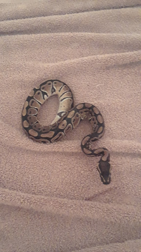 Tropical Fish Store «Pet World», reviews and photos, 3350 US-1, St Augustine, FL 32086, USA