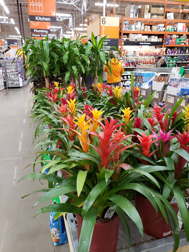 Home Improvement Store «The Home Depot», reviews and photos, 1120 Vann Dr, Jackson, TN 38305, USA