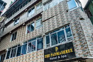 The Padmashree Hotel and Spa Darjeeling image
