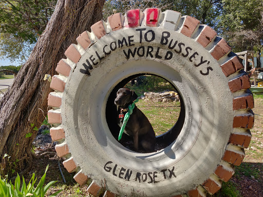 Gift Shop «Stone Hut Fossil Shop», reviews and photos, 1184 FM 205, Glen Rose, TX 76043, USA