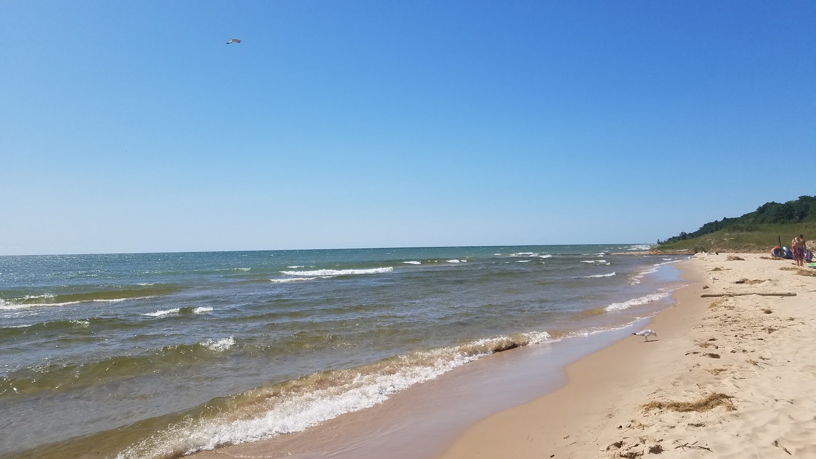 Benona Township Beach'in fotoğrafı ve yerleşim