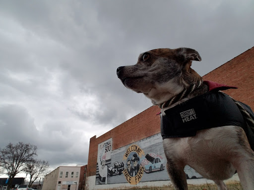 Community Center «Downtown Center», reviews and photos, 810 State St, Bristol, TN 37620, USA