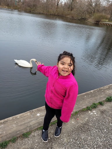 Park «Reverend Arthur Mackey Park», reviews and photos, 242 Elmwood Ave, Roosevelt, NY 11575, USA