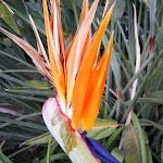 Photo n°20 de l'avis de Gergely.a fait le 03/05/2019 à 05:33 sur le  President Park Hotel à Aci Castello