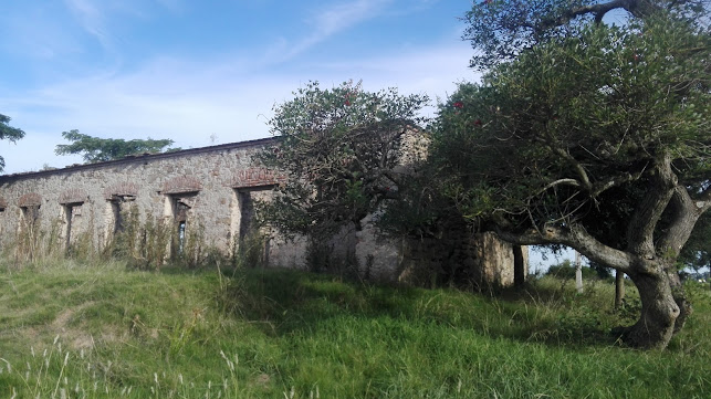 Opiniones de Cabaña Paullier en San José - Museo