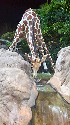 Tourist Attraction «Coconut Creek Family Fun Park», reviews and photos, 9807 Front Beach Rd, Panama City Beach, FL 32407, USA