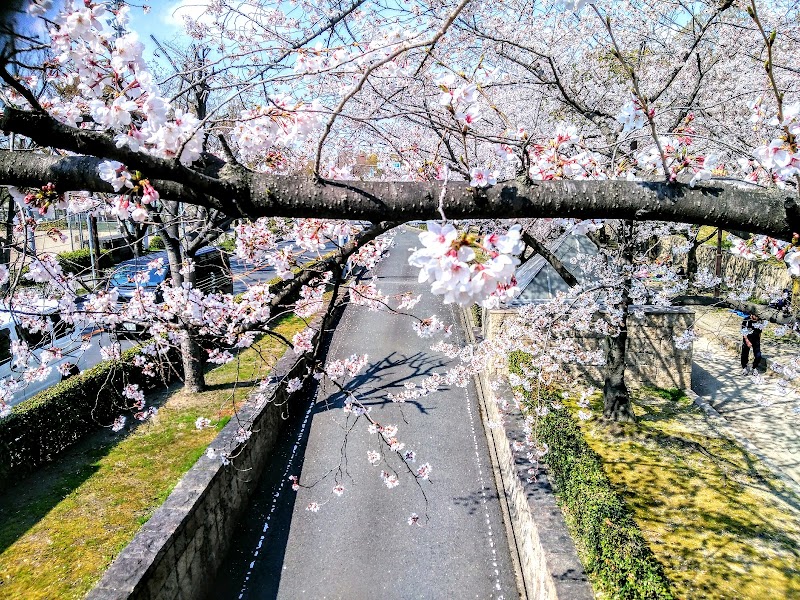 茨木市 中央公園駐車場