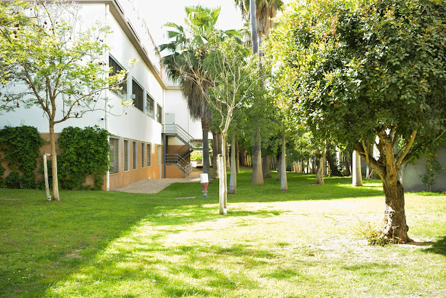 Colégio Bernardette Romeira - Escola