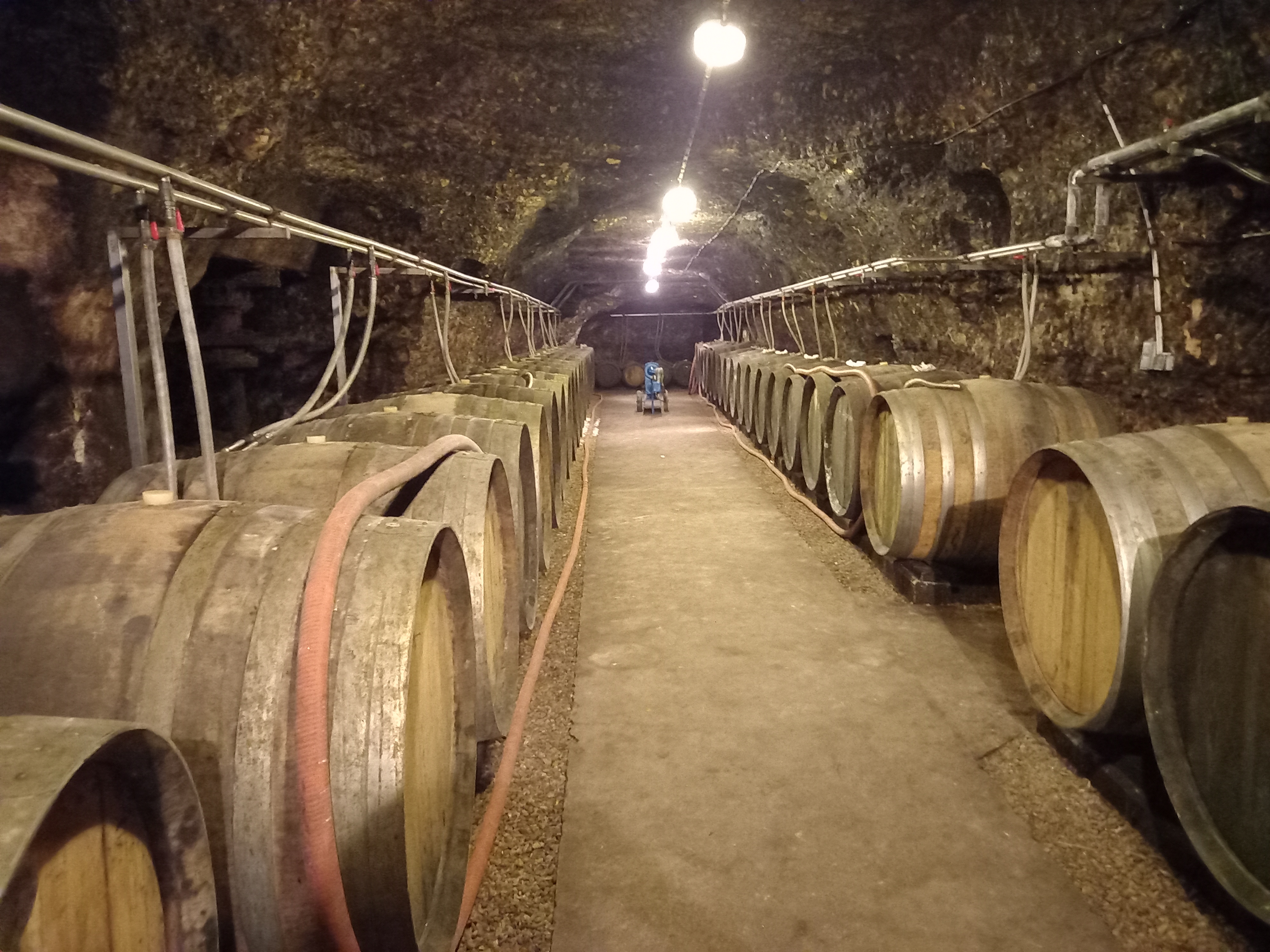 Photo n° 1 de l'avis de Ales.i fait le 16/08/2023 à 18:37