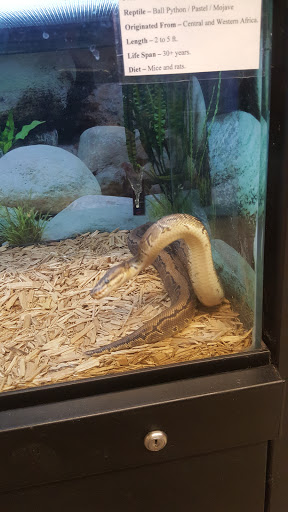 Pet Store «Super Pets», reviews and photos, 1807 E Chapman Ave, Orange, CA 92867, USA